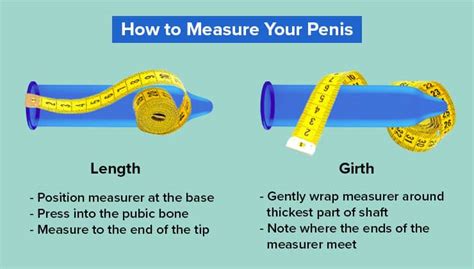 Shown Actual Size: A Penis Shape & Size Lowdown